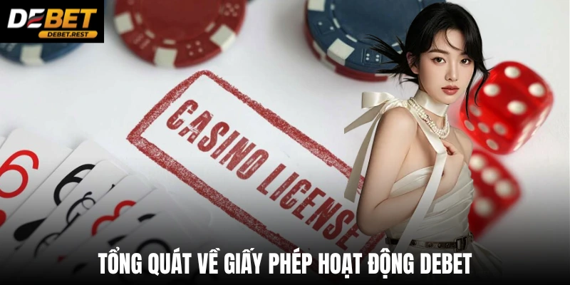 Tổng quát về giấy phép hoạt động Debet